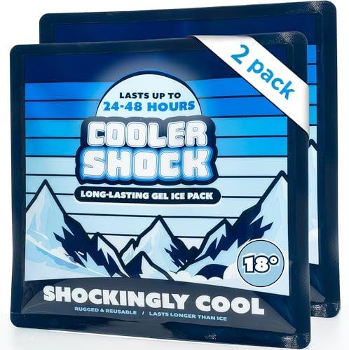 Cooler Shock Prefilled Gel Ice Packs, Medium 10" x 10", 2 Pack