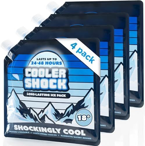 Cooler Shock Screw-Top Ice Packs, Mid-Size 10" x 10", 4 Pack