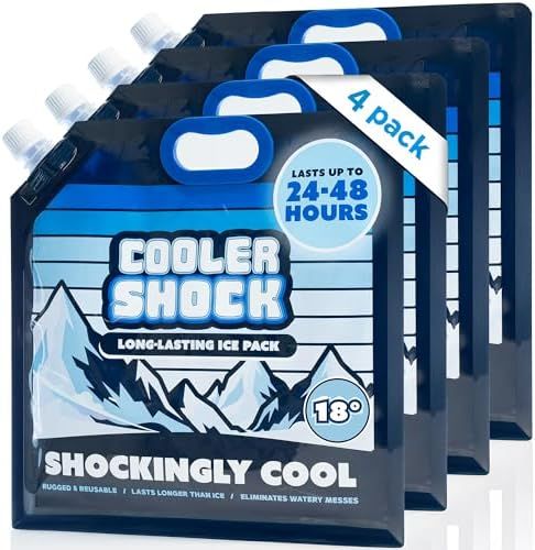 Cooler Shock Screw-Top Ice Packs with Handle, Medium 11" x 11", 4 Pack