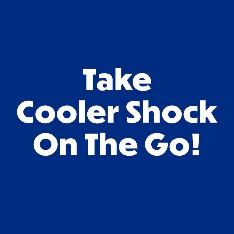 Take Cooler Shock lunch box ice packs on the go